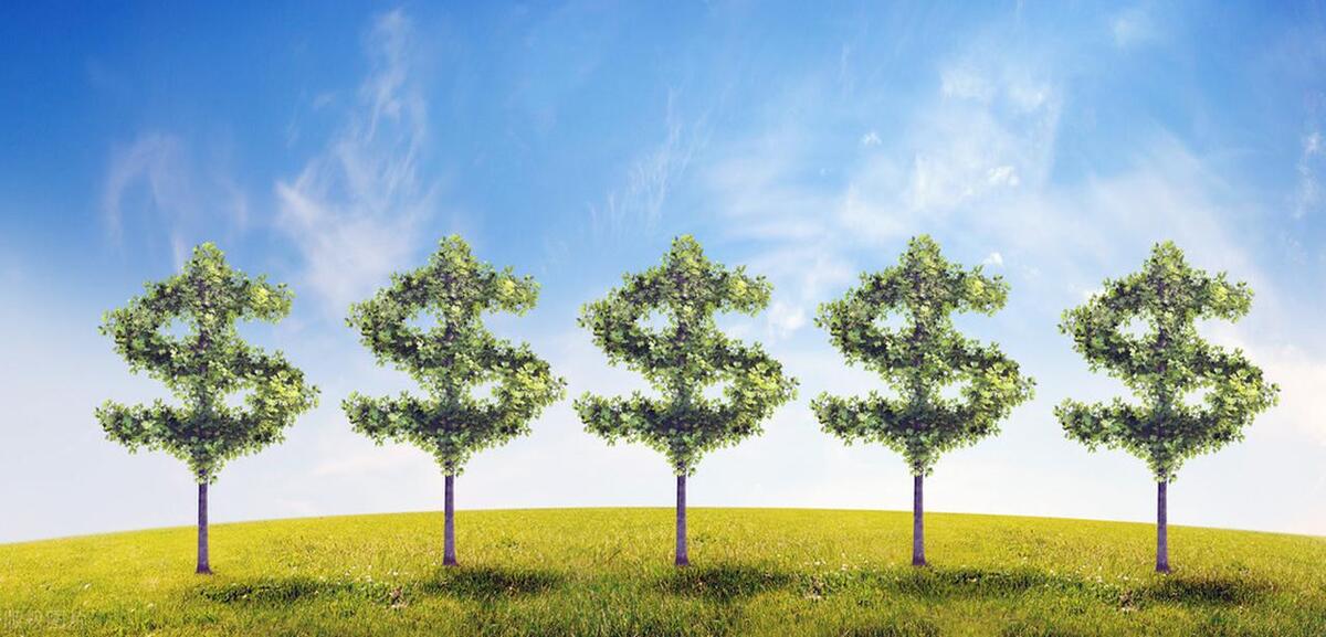 金钱树上有虫子怎么办,金钱树根部有虫子怎么处理