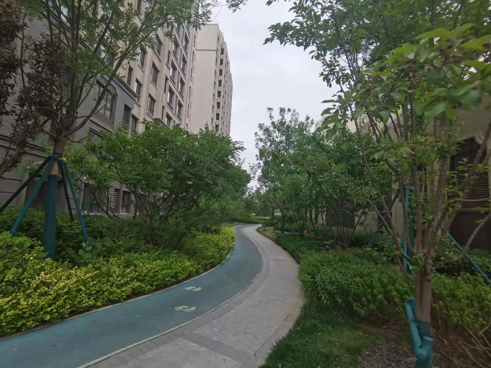 老白逛豪宅,老白带你逛车展全集