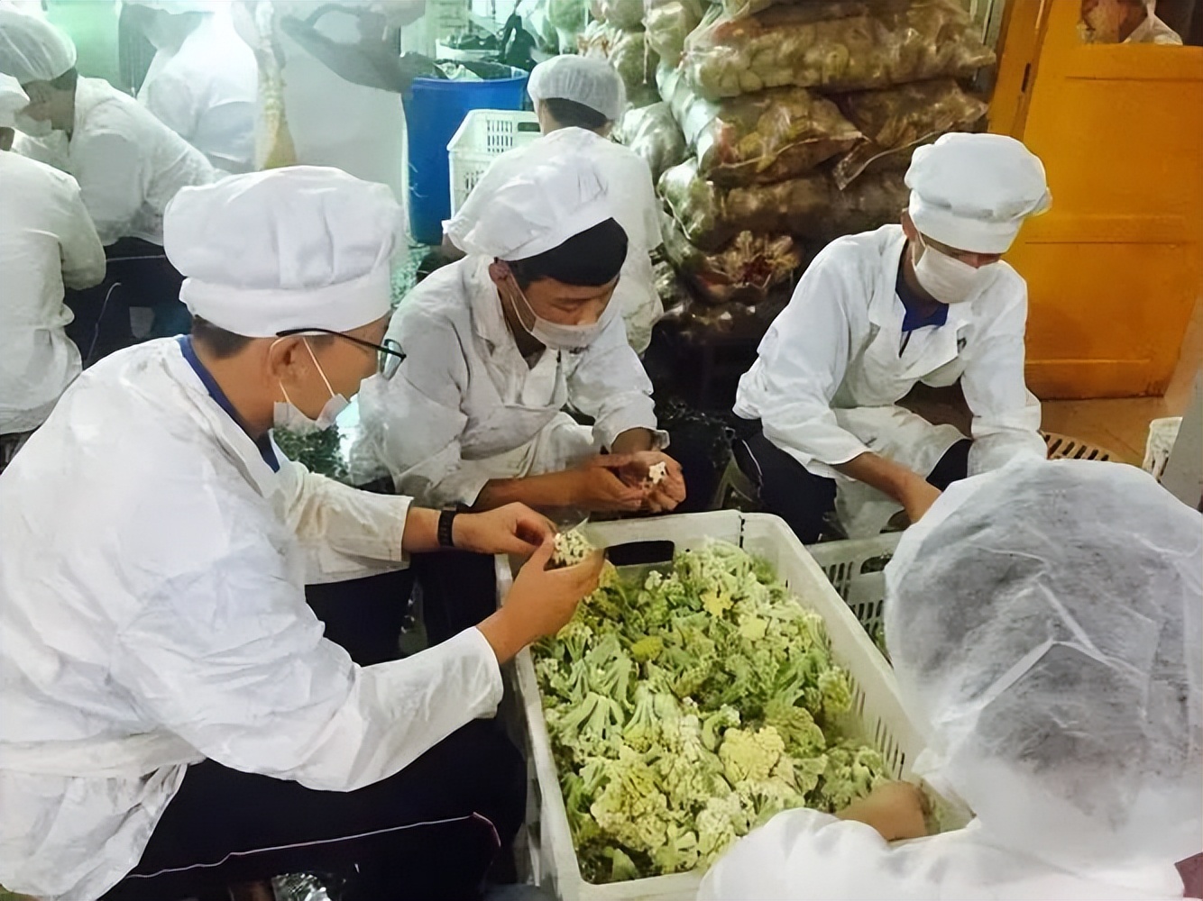 40岁以后做什么工作可以月入6000,适合50岁做的体面且赚钱的工作