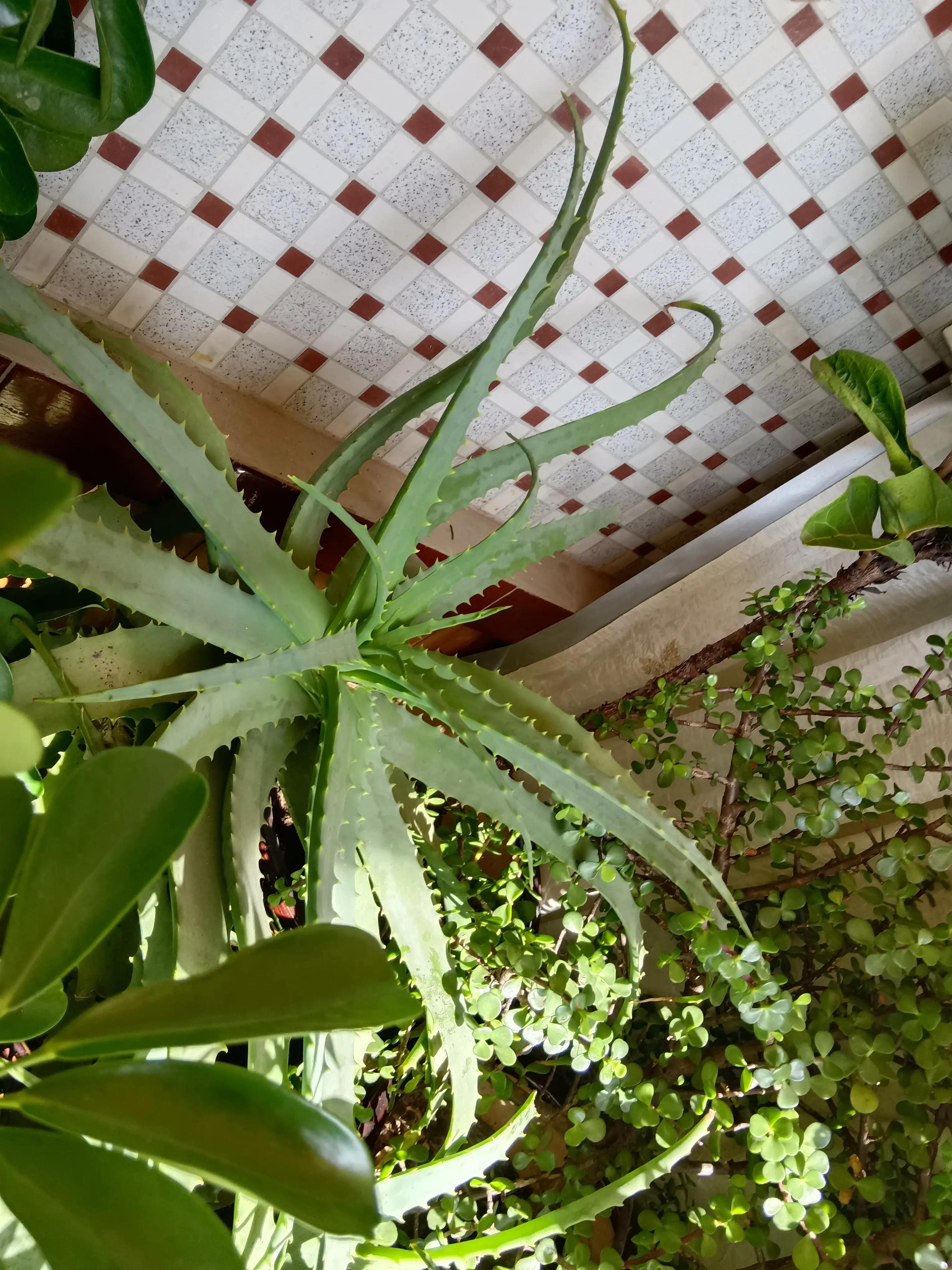 带有季节加数字的诗句飞花令,诗词飞花令季节