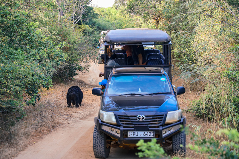 斯里兰卡旅游攻略必去景点,斯里兰卡旅游攻略最佳时间