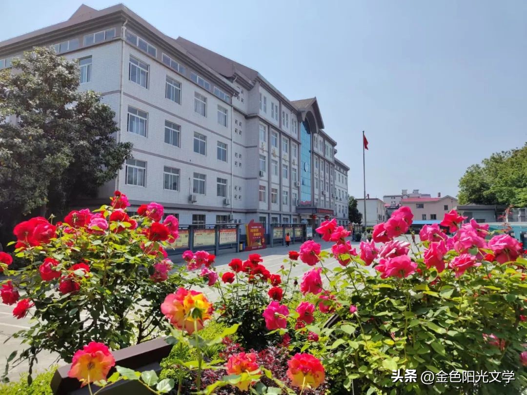 《逃宝》《咕咕》《古怪的猫》《灰灰》