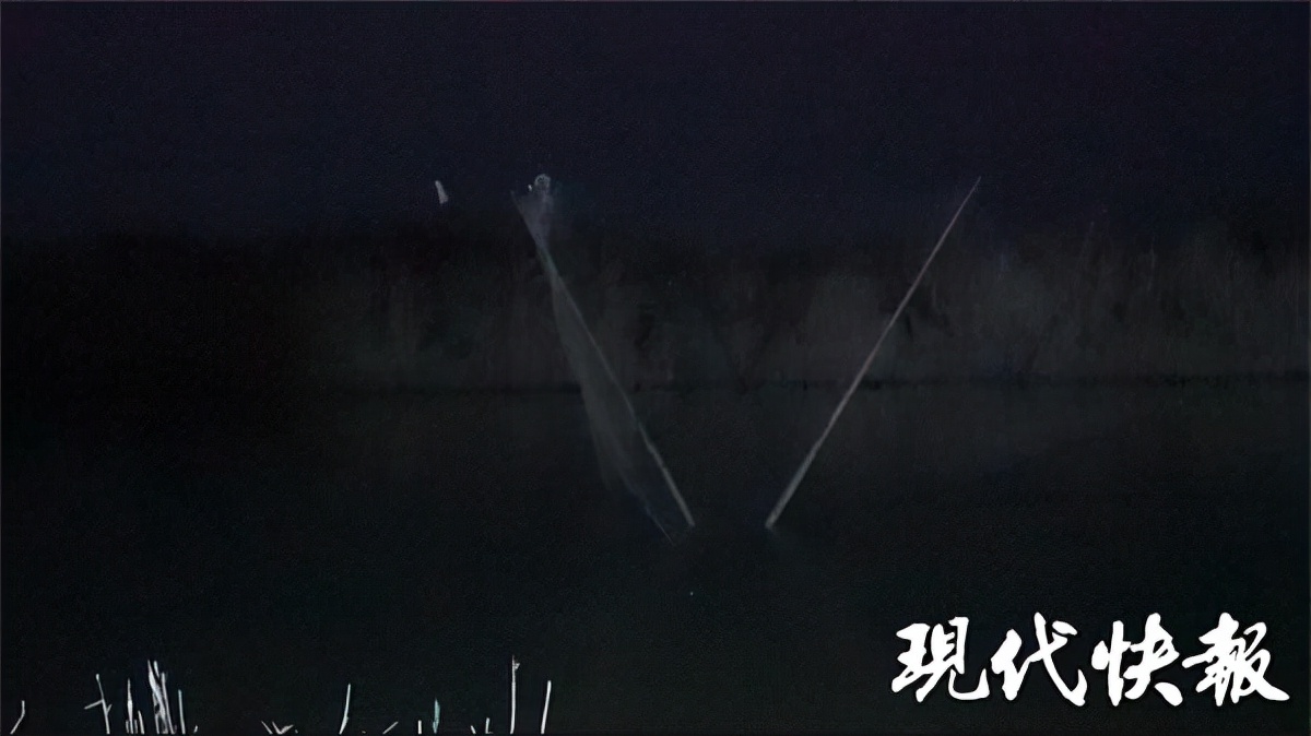 盐城海边偷猎为何屡禁不止？记者实地调查：芦苇荡里的“捞金”生意