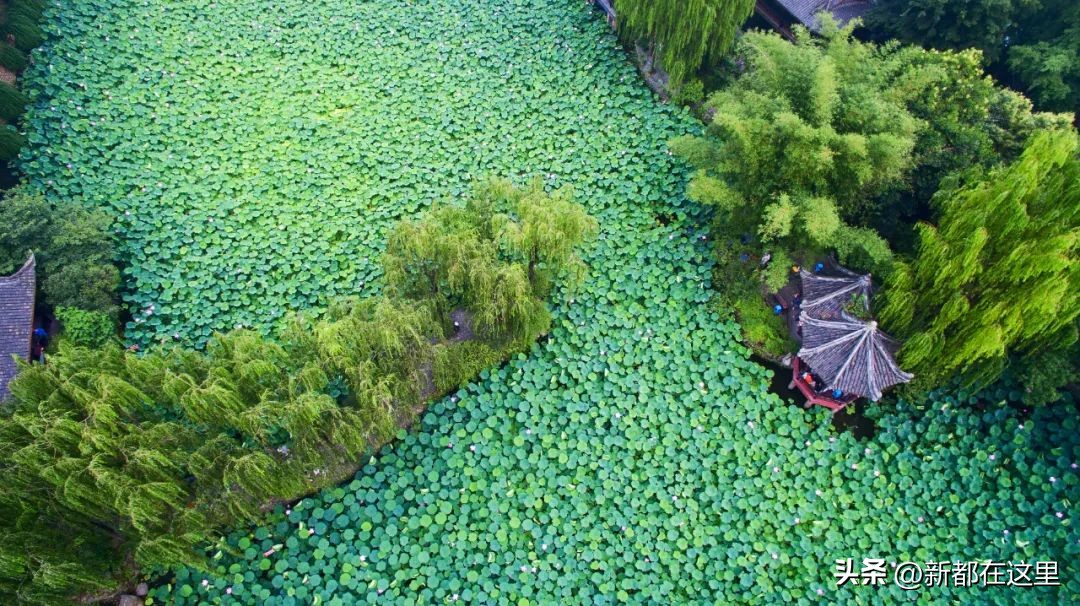 童鞋六月份做啥活动,童鞋六岁孩子