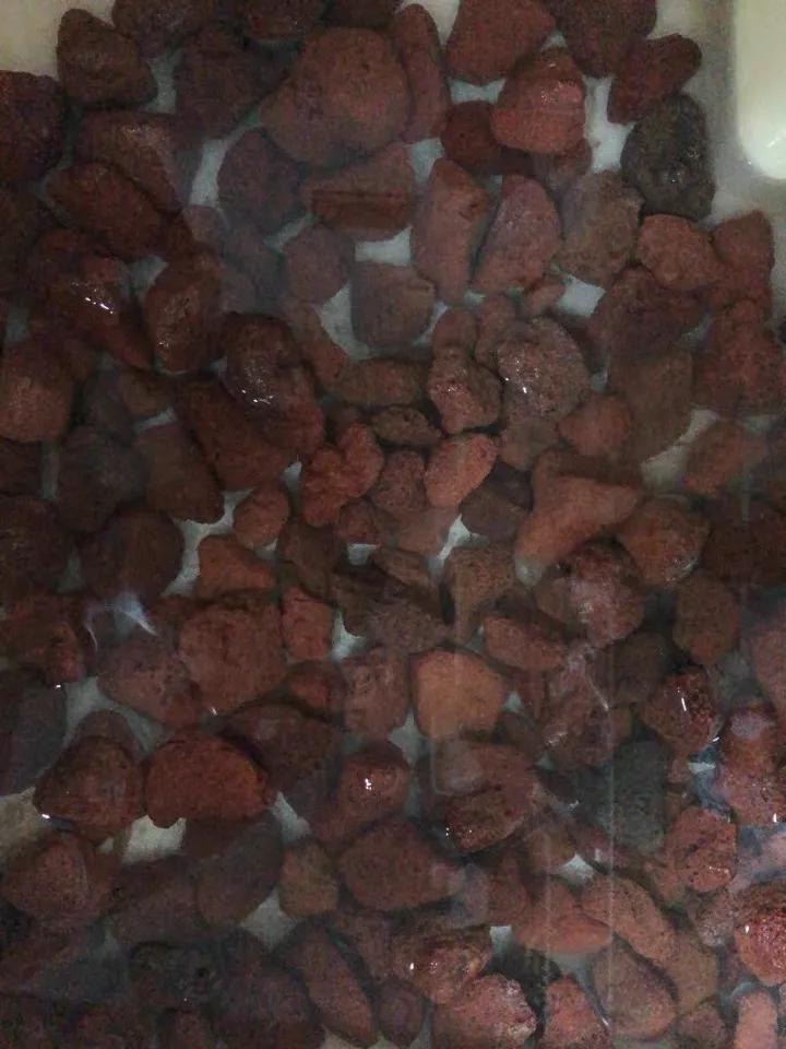 养鱼培养硝化细菌用什么滤材,养鱼哪种细菌滤材好