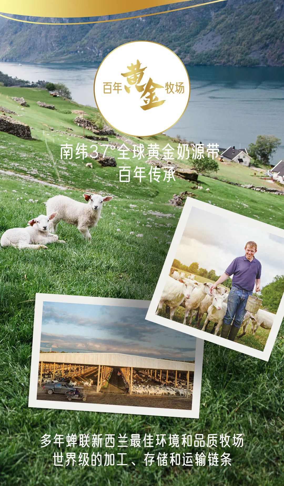 夏日必饮极致新鲜！典极羊乳酸菌饮品焕新上市，冷藏风味更佳