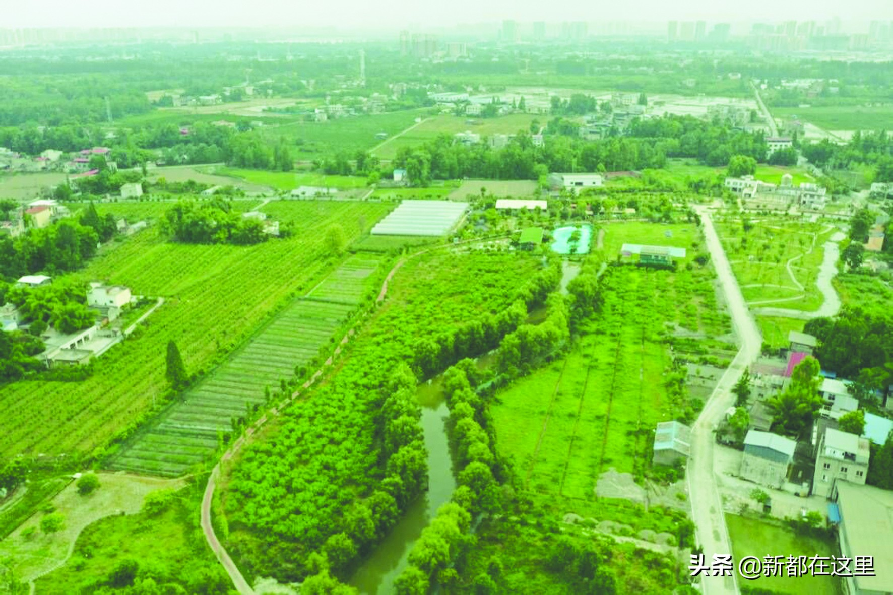 400万变3000万这个“农业公园”火出圈