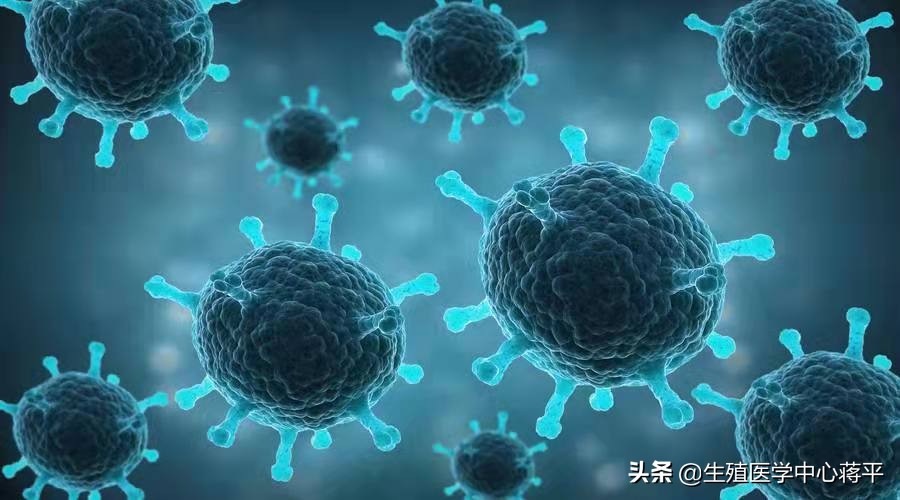 生殖系统感染会导致不孕吗,不孕不育和生殖免疫