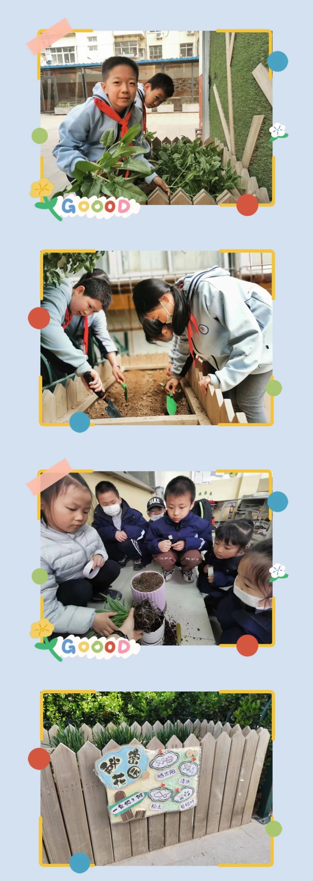 最新石家庄市小学生课后服务,河北小学全面展开课后托管