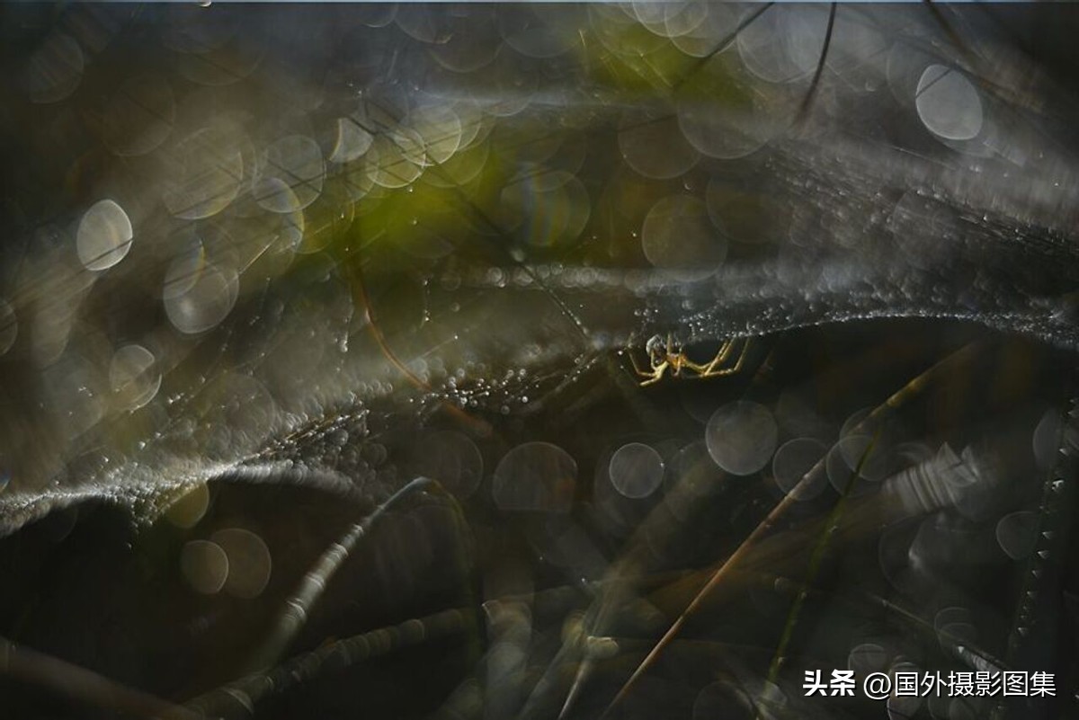 秋天最美大自然图片,春天最美的三十六张照片