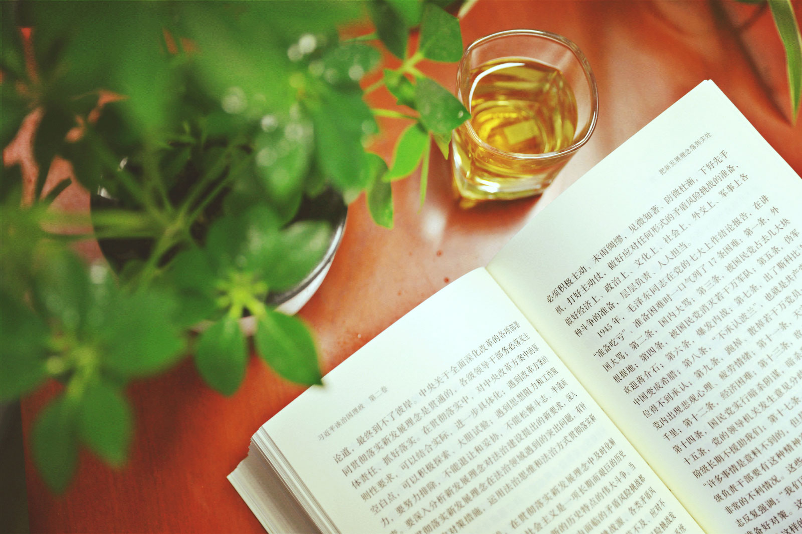 蔡志忠读书感悟,蔡志忠每天读书多少