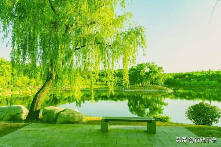 经典咏柳宋词,关于咏柳著名诗句及其赏析