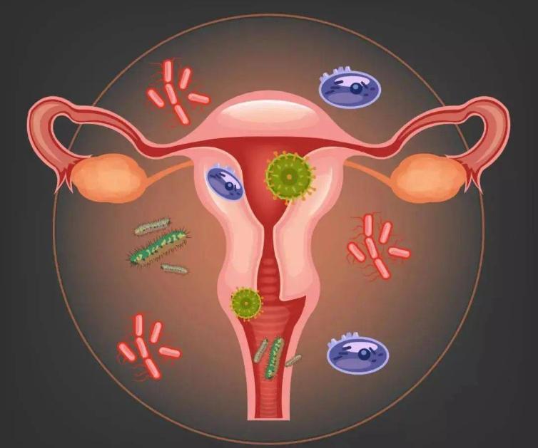 安全套的油有害的吗,安全套的油对人体有什么害处吗