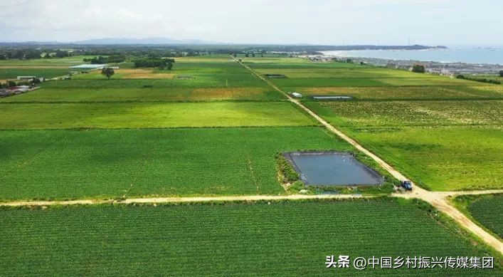 乡村振兴扶持项目在哪里申报,2023年乡村振兴项目补贴申报指南