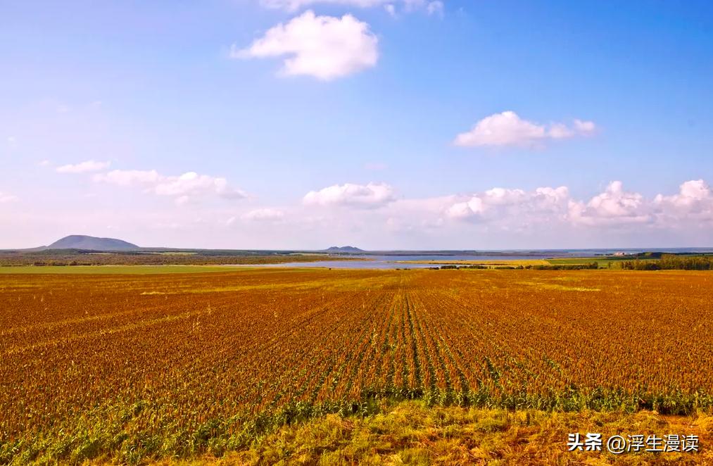 梅花易数万物类象解说视频,梅花易数万物类象全集