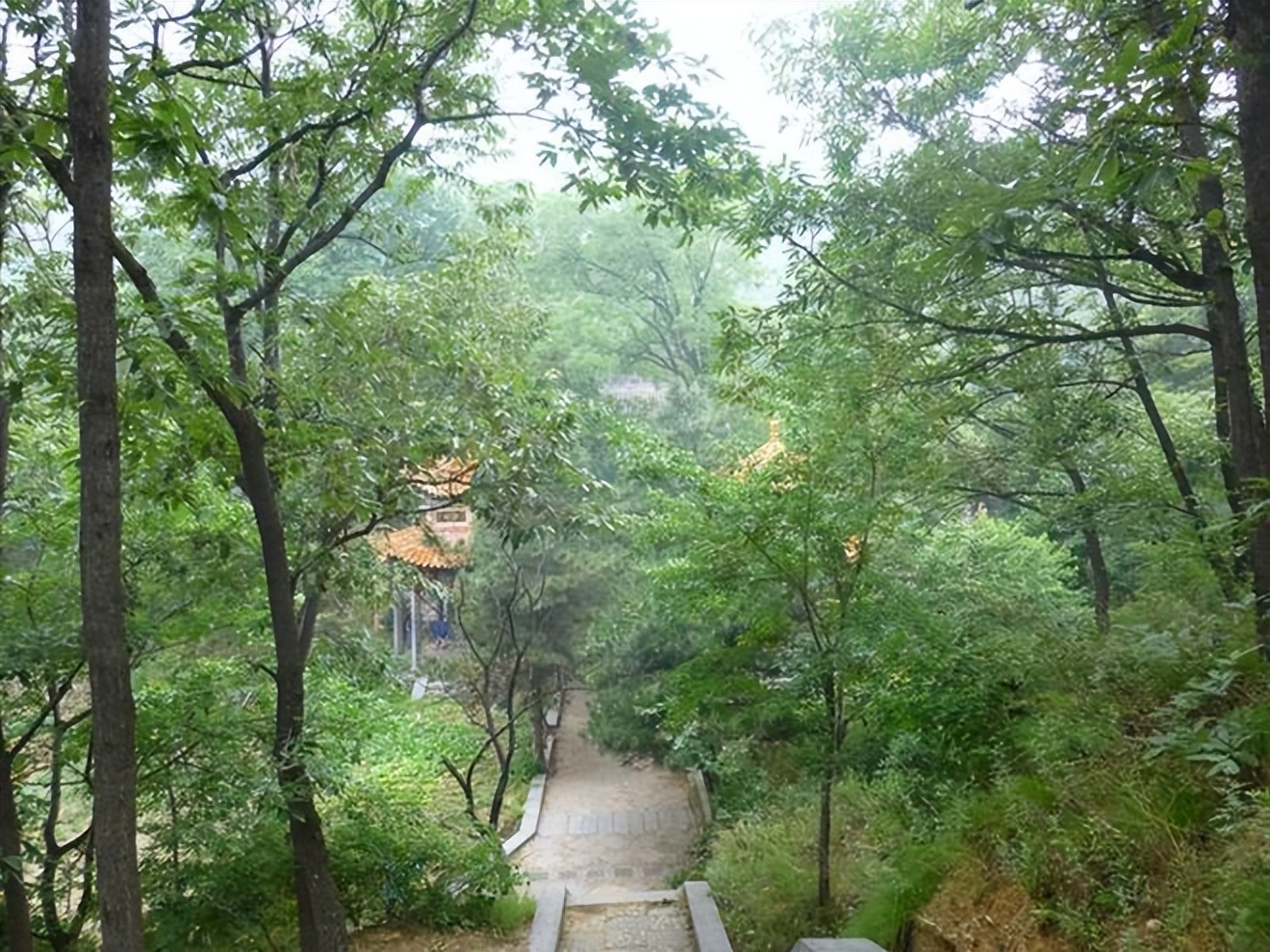 花季少女被杀害抛尸追凶13年凶手,花季少女被杀抛尸警方追凶