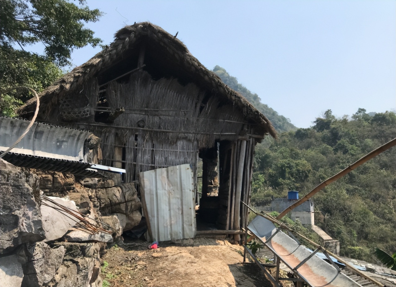 贵州一户人在悬崖上养羊,贵州蜗居13年在山上养羊