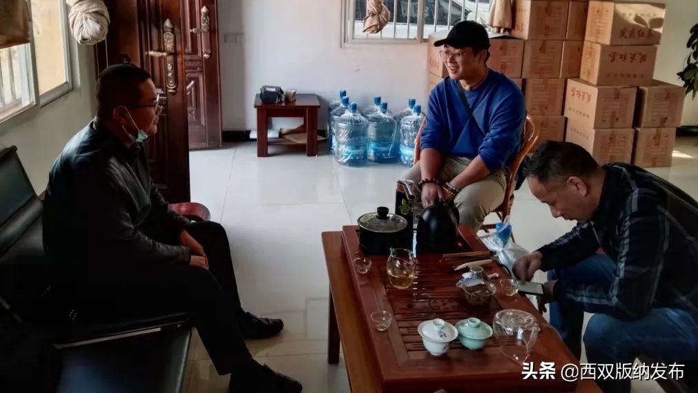 云南普洱茶专项整治,普洱茶专项整治