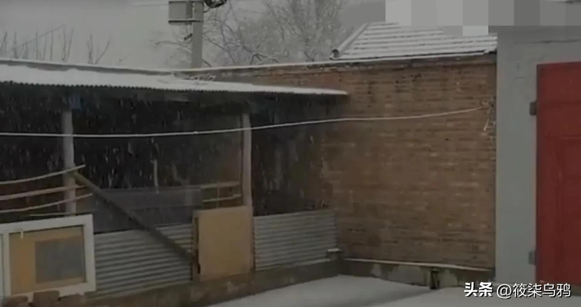 千万不要把老实人惹急了完整版,千万别把老实人惹急眼了