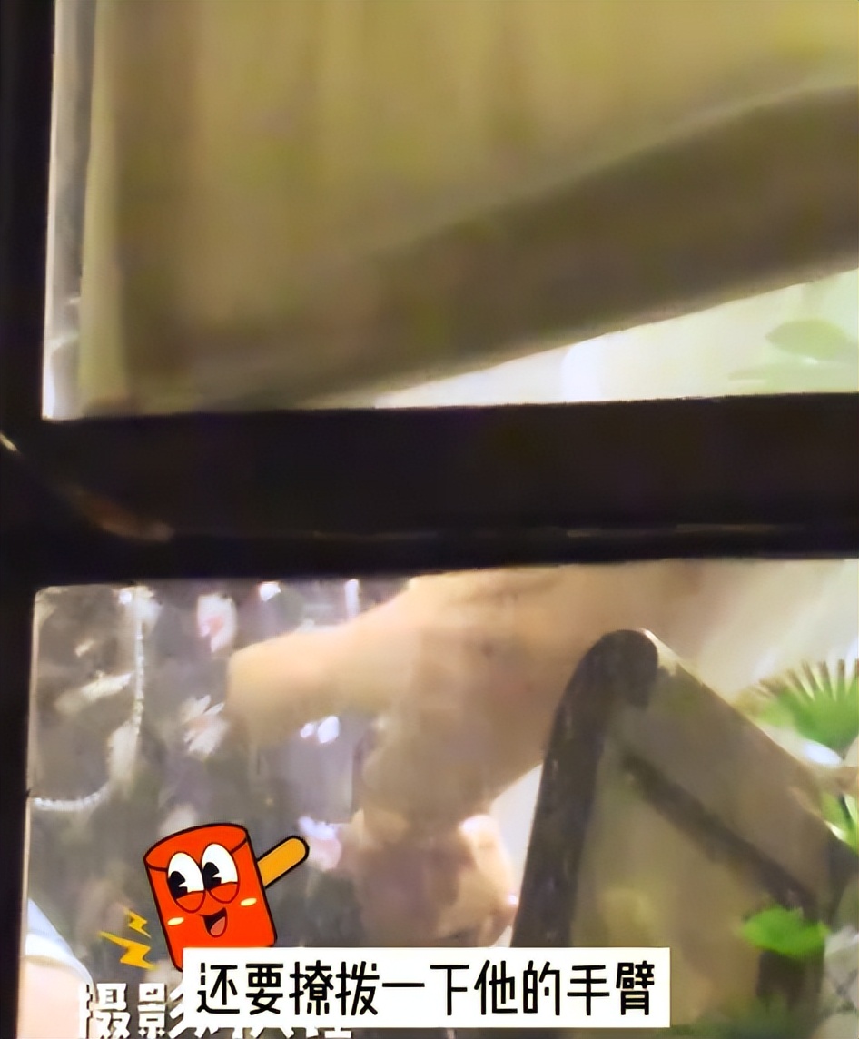 董洁高圆圆绝美瞬间,清纯玉女董洁惊艳视频