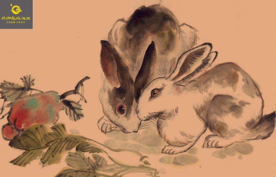 生肖兔的民俗与科学文化艺术,先生讲生肖兔
