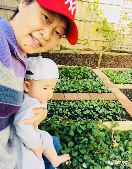 在澳洲种菜日记,我在澳洲学医