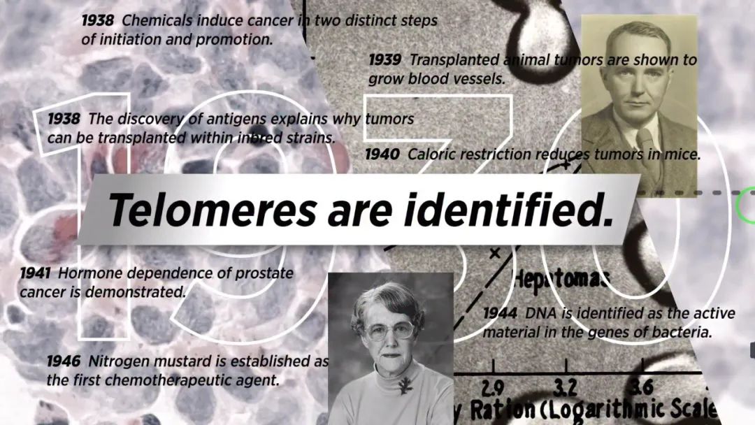 未来十年癌症最新研究,百年癌症之谜