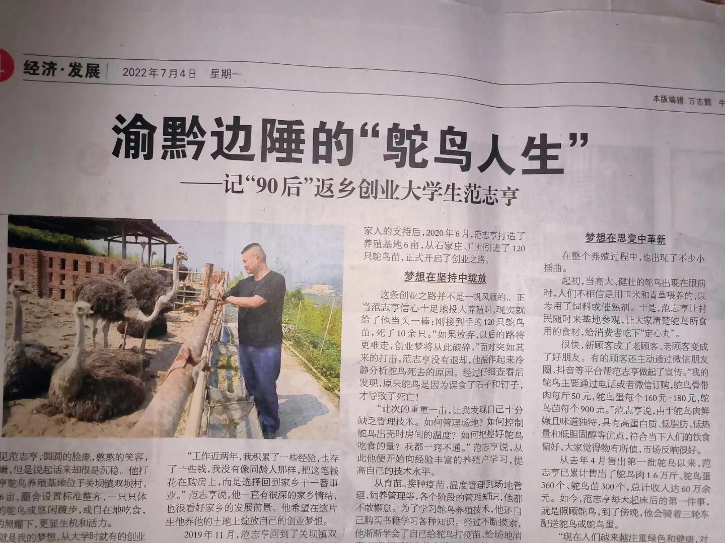 80后青年农民养殖鸵鸟,大学生回来养鸵鸟创业