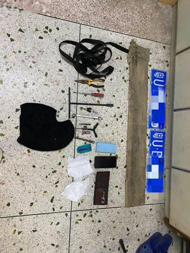 盗窃车牌后勒索财物行为的定性研究