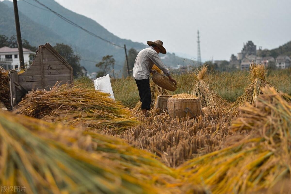 人老了只有儿孙陪伴才是福,人老了儿女在身边才是最重要的