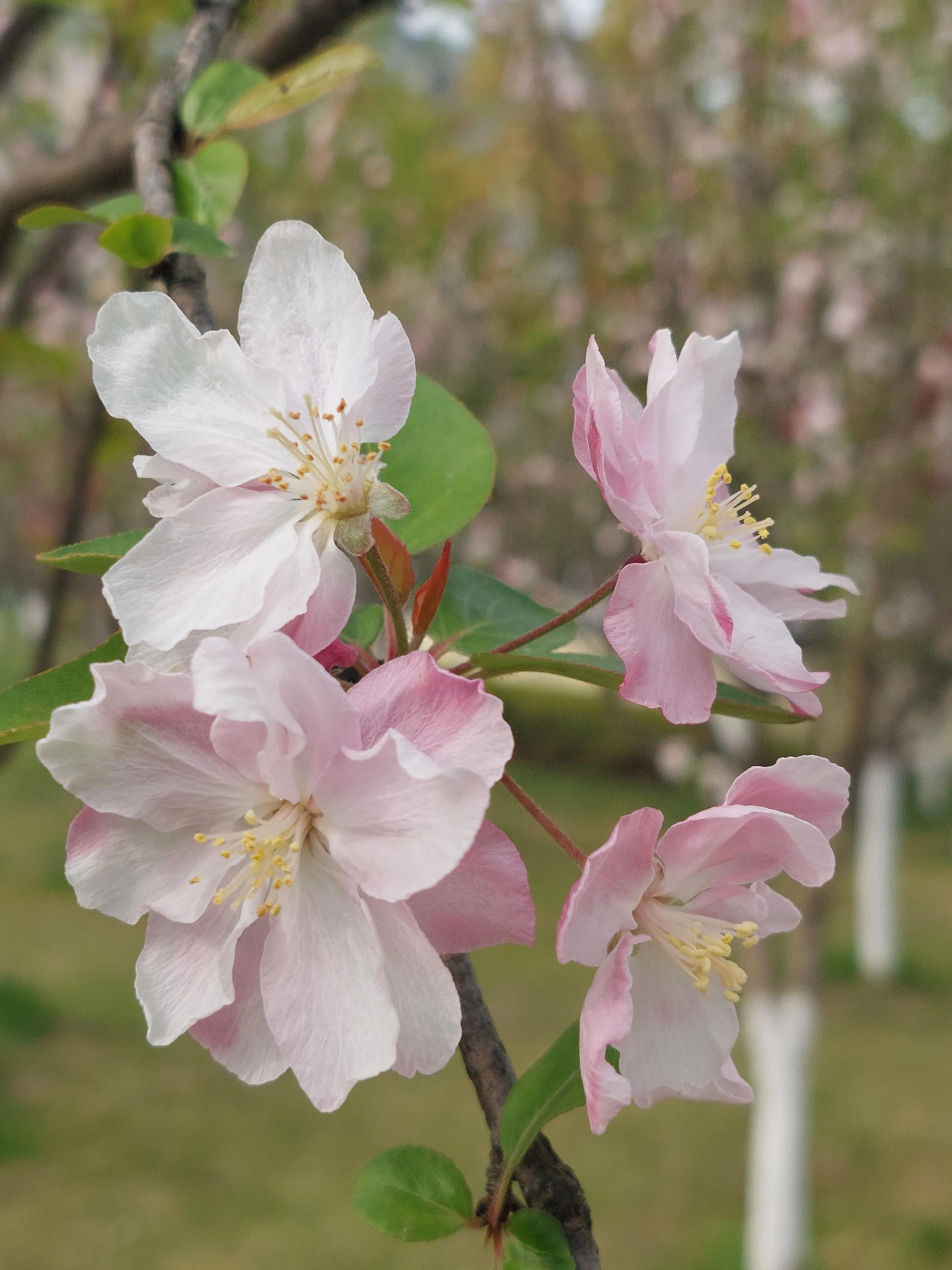 自媒体到底怎样赚钱,自媒体到底怎么赚钱的