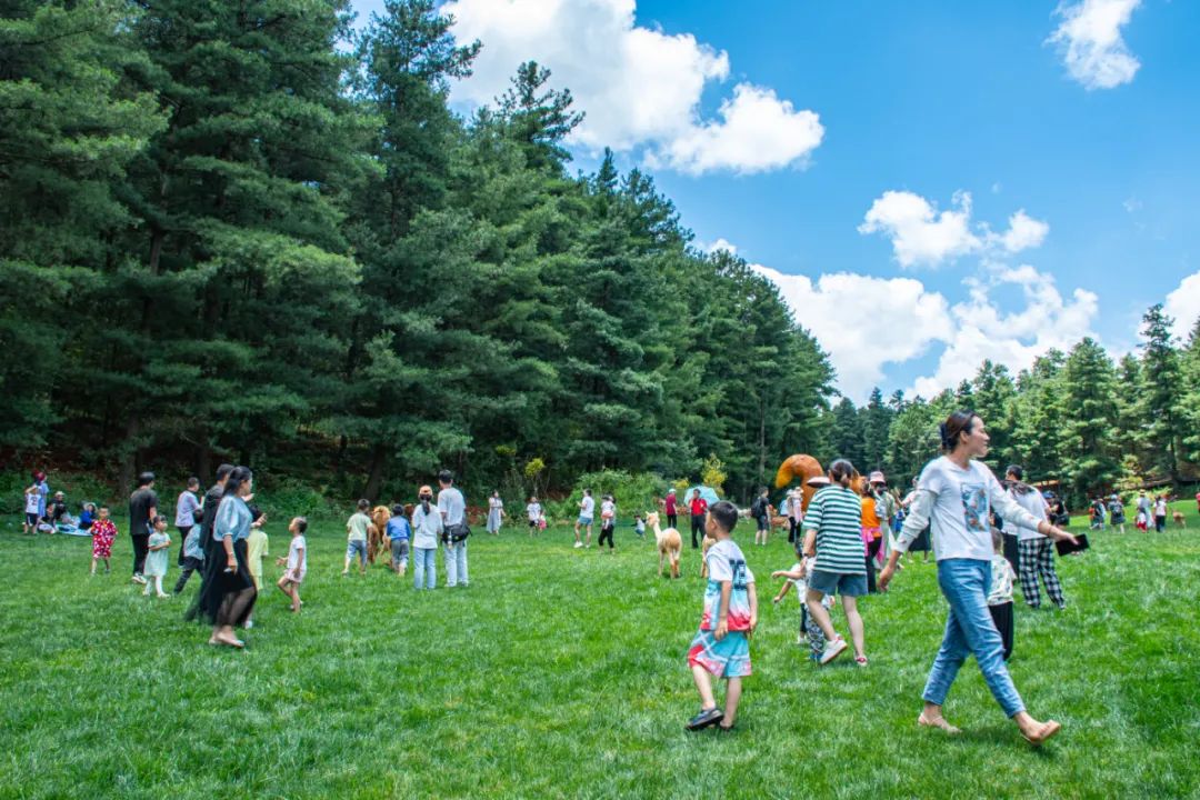 昆明五一露营建议去哪玩,昆明周边郊游露营