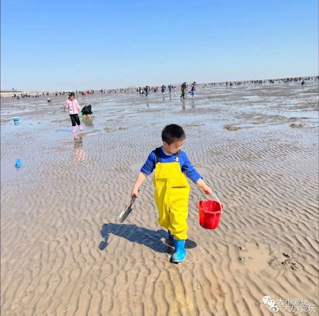 带娃赶海地点推荐去哪里,带孩子海边赶海3日游攻略