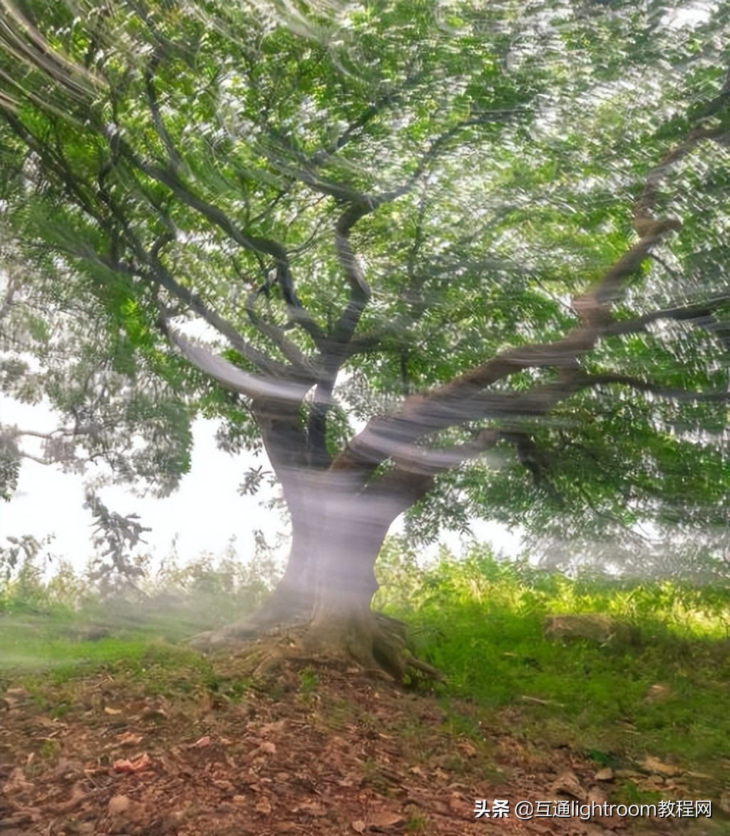 适合拍人像风景照的广角镜头,8个拍摄视角技巧