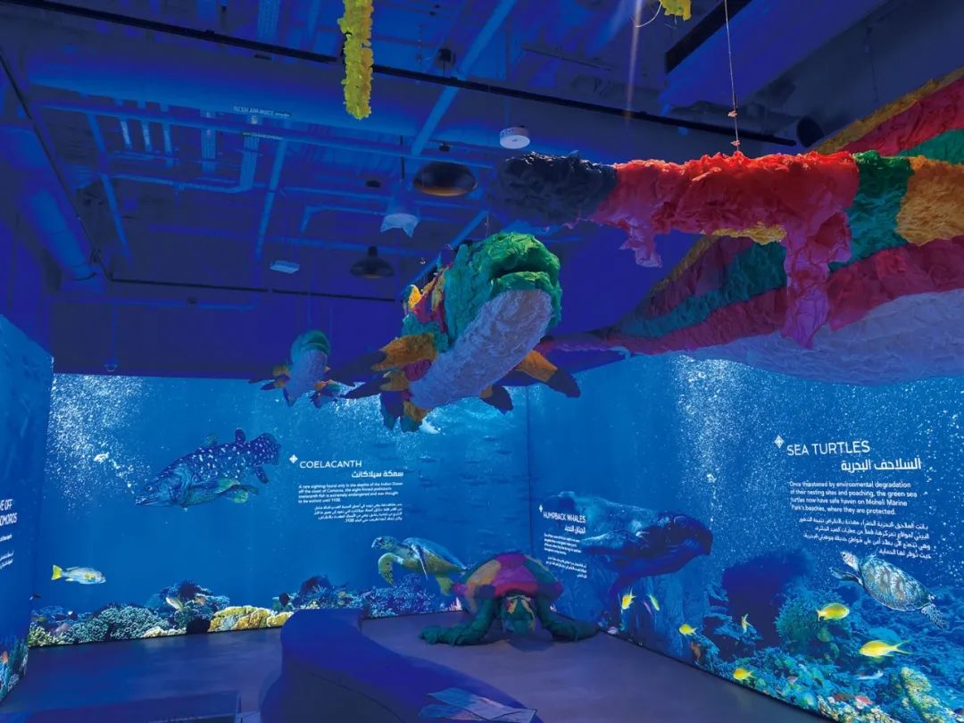 迪拜世博会中国馆复兴号,迪拜世博会彩绘飞机