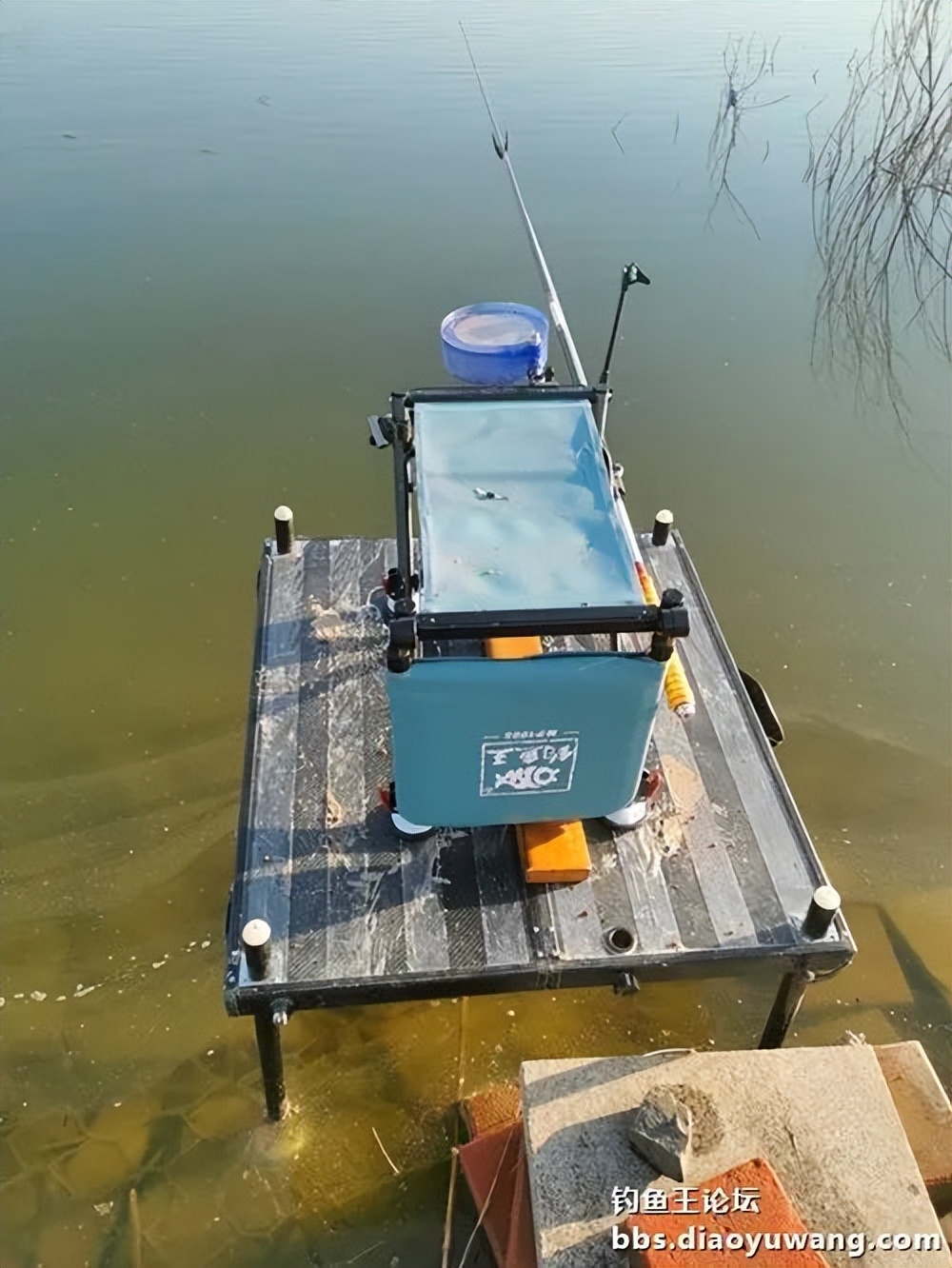 天气变冷怎么钓板鲫,温度升高钓鲢鳙