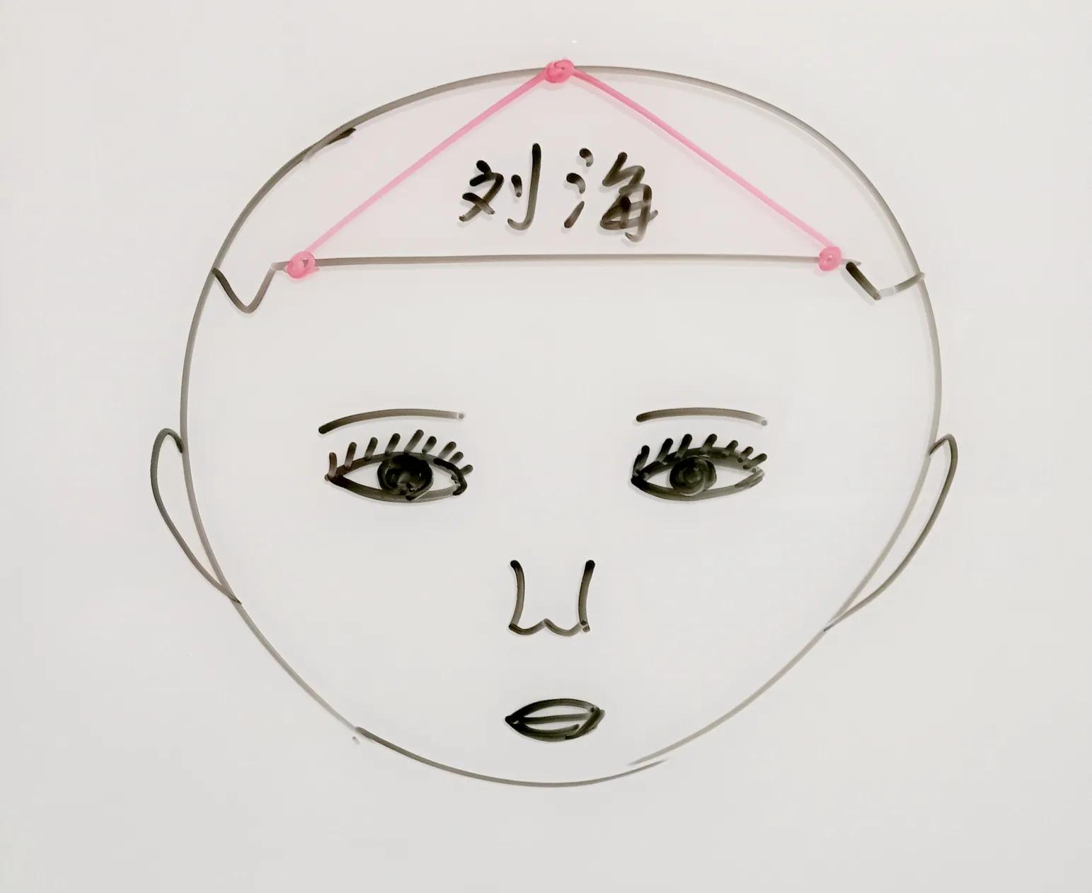 修剪黄金叶圆球步骤,比熊修剪17个步骤