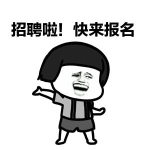 头部投资公司招聘,头部公司运营招聘