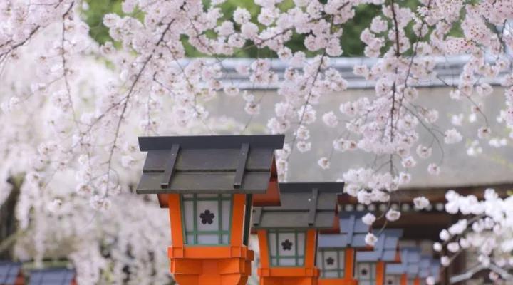 多人订机票怎么预订最划算,如何购买团队机票最便宜