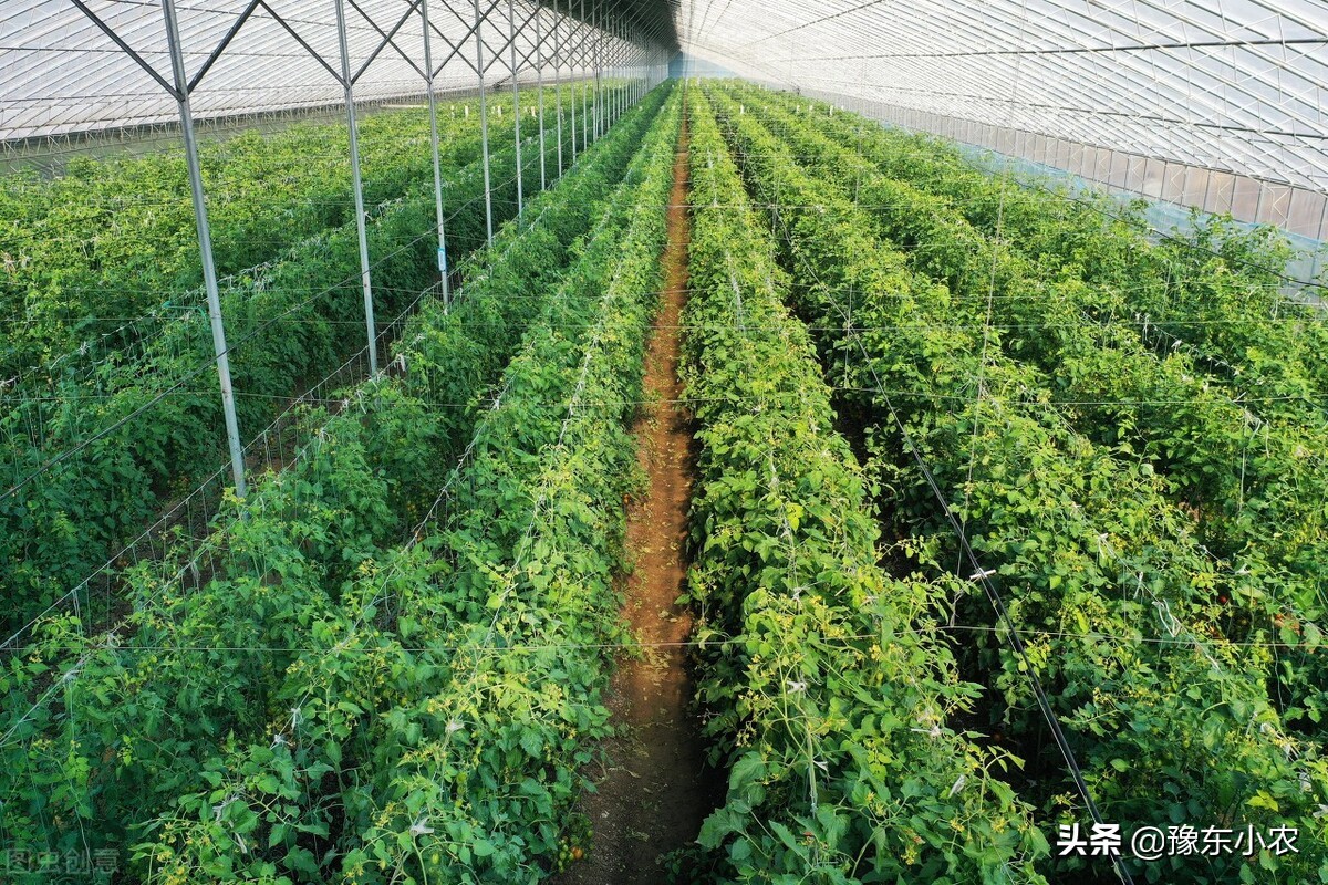 农民种地靠什么赚钱,农民种地靠什么挣钱