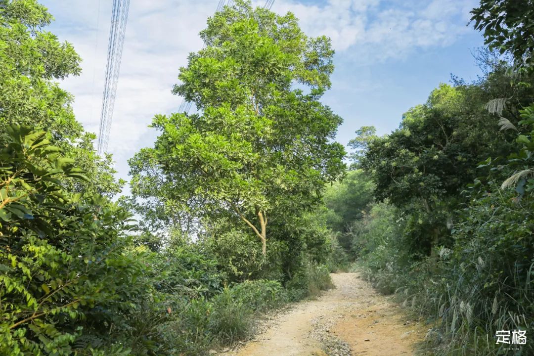 4号线值得逛的地方,16号线的游玩攻略