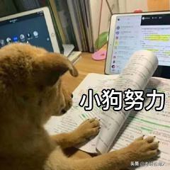 考研最后一个月感觉自己啥也不会,考研最后一个月啥也不会