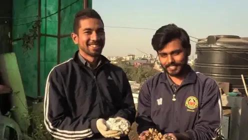 回收烟头是干嘛的,回收烟头是合法的吗