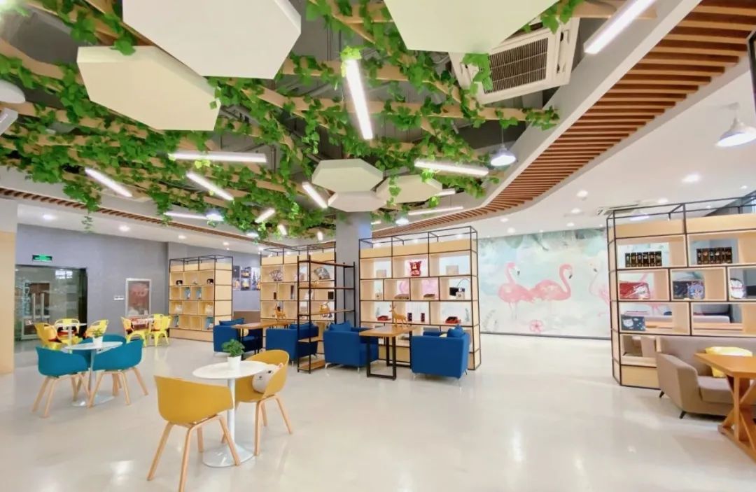 鹅厂2021招聘,鹅厂新计划