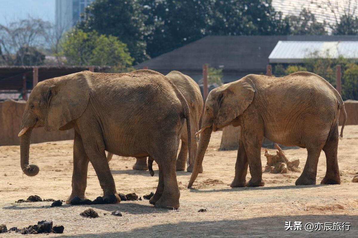 杭州附近有哪些旅游景点值得去,杭州周边游玩攻略必去十大景点
