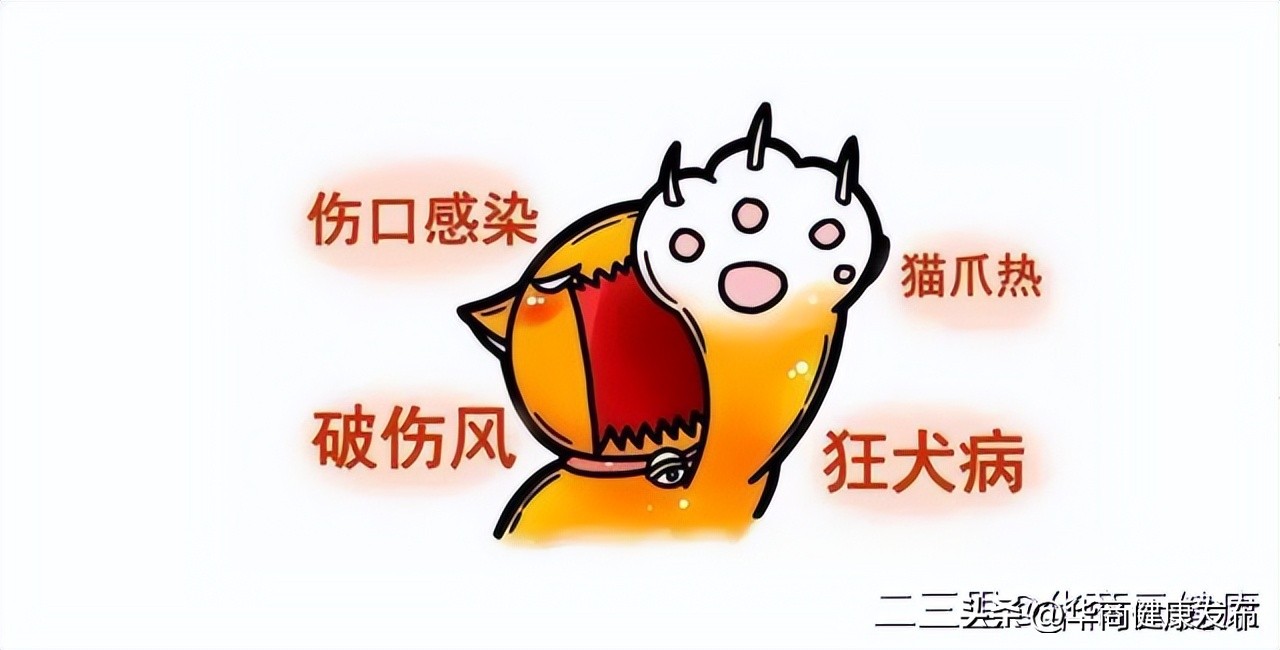 铲屎官生病猫害怕,铲屎官担心自家猫咪着凉