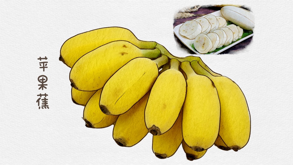 香蕉哪种品种最好吃,怎么挑选香蕉什么样的香蕉好吃