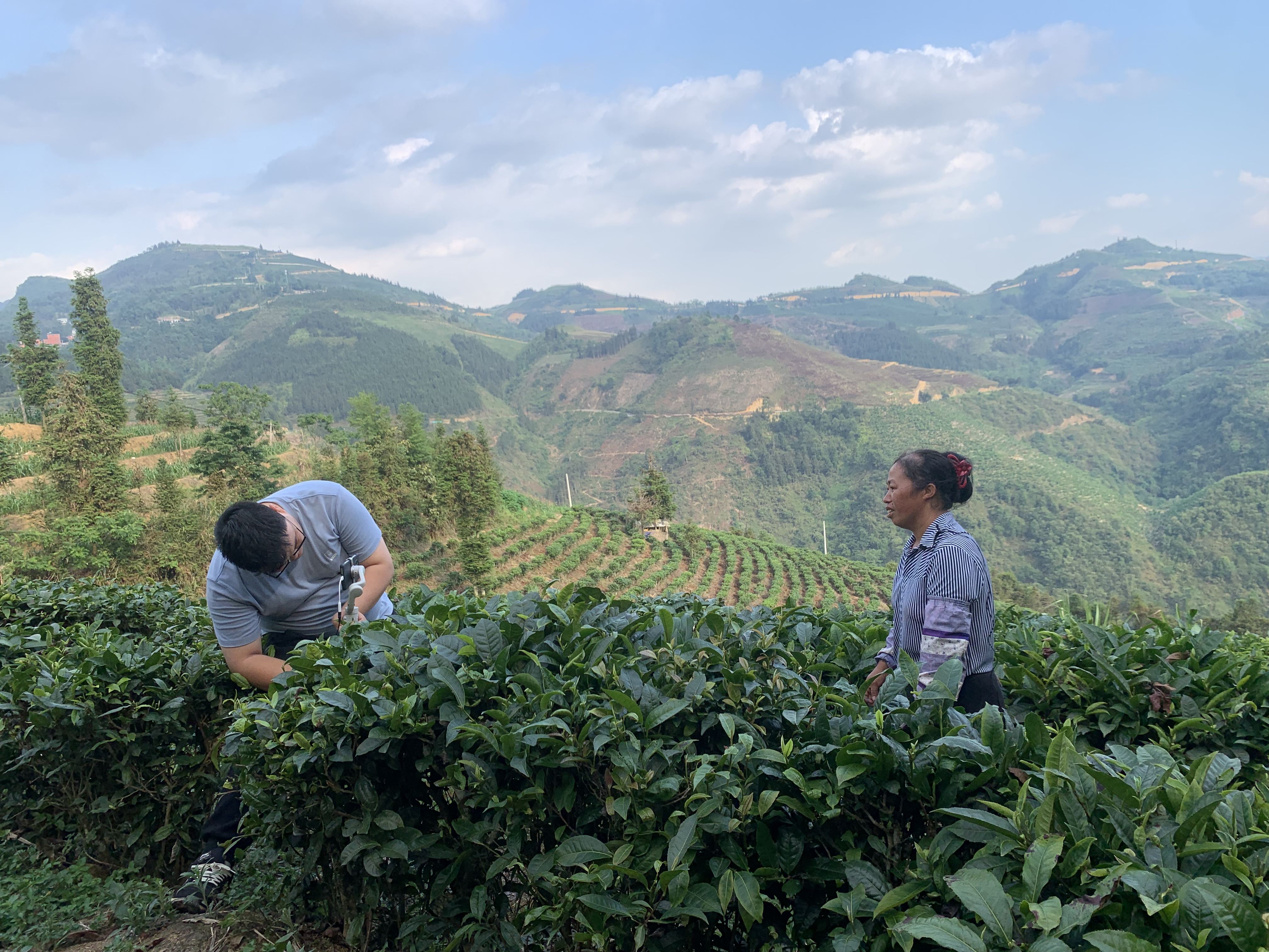 麻栗坡县农村电子商务工作,麻栗坡县电子商务公共服务中心