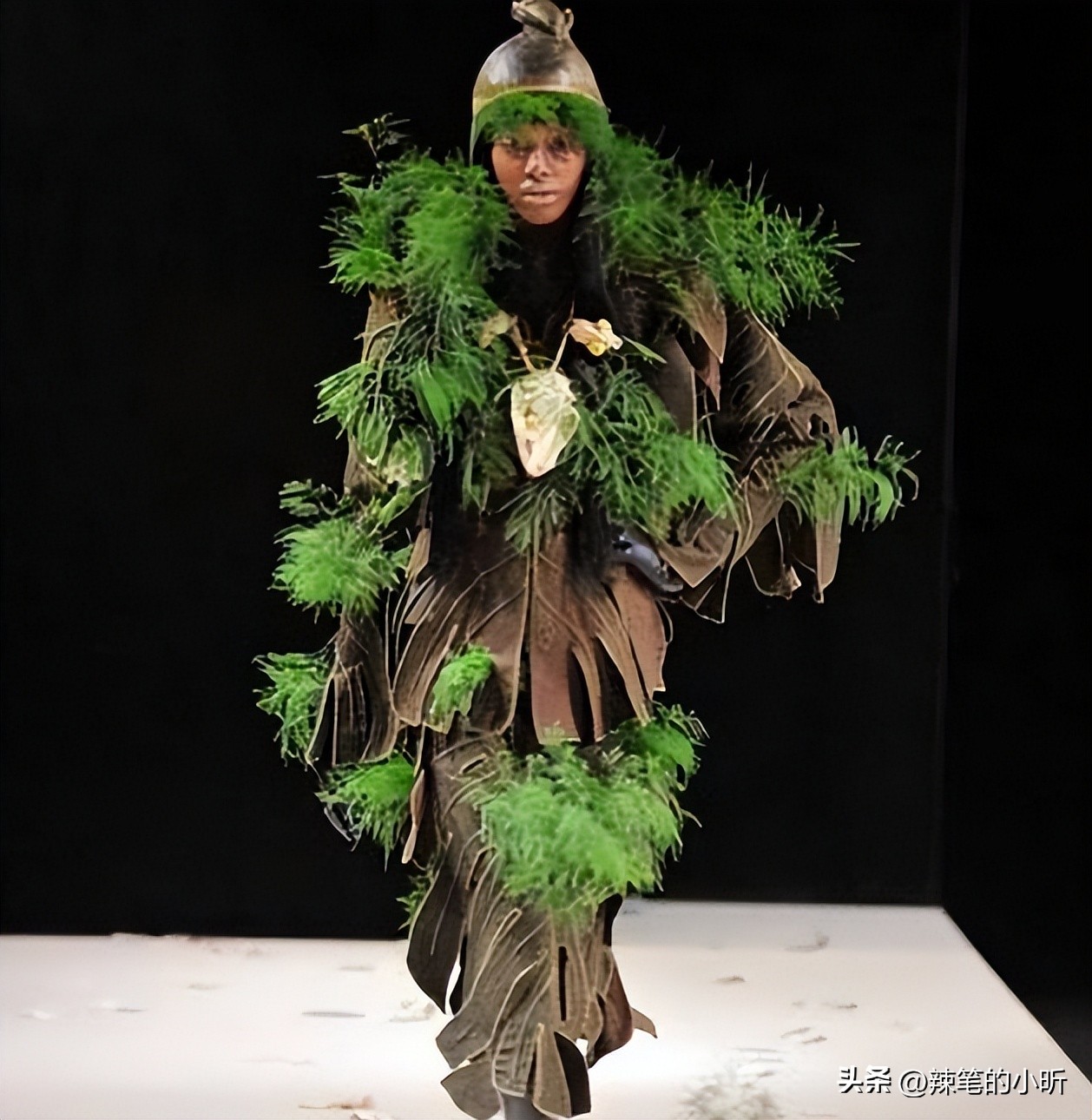 开裆裤,裸胸装,今年高奢大秀一个比一个奇葩,暴露就是时尚?