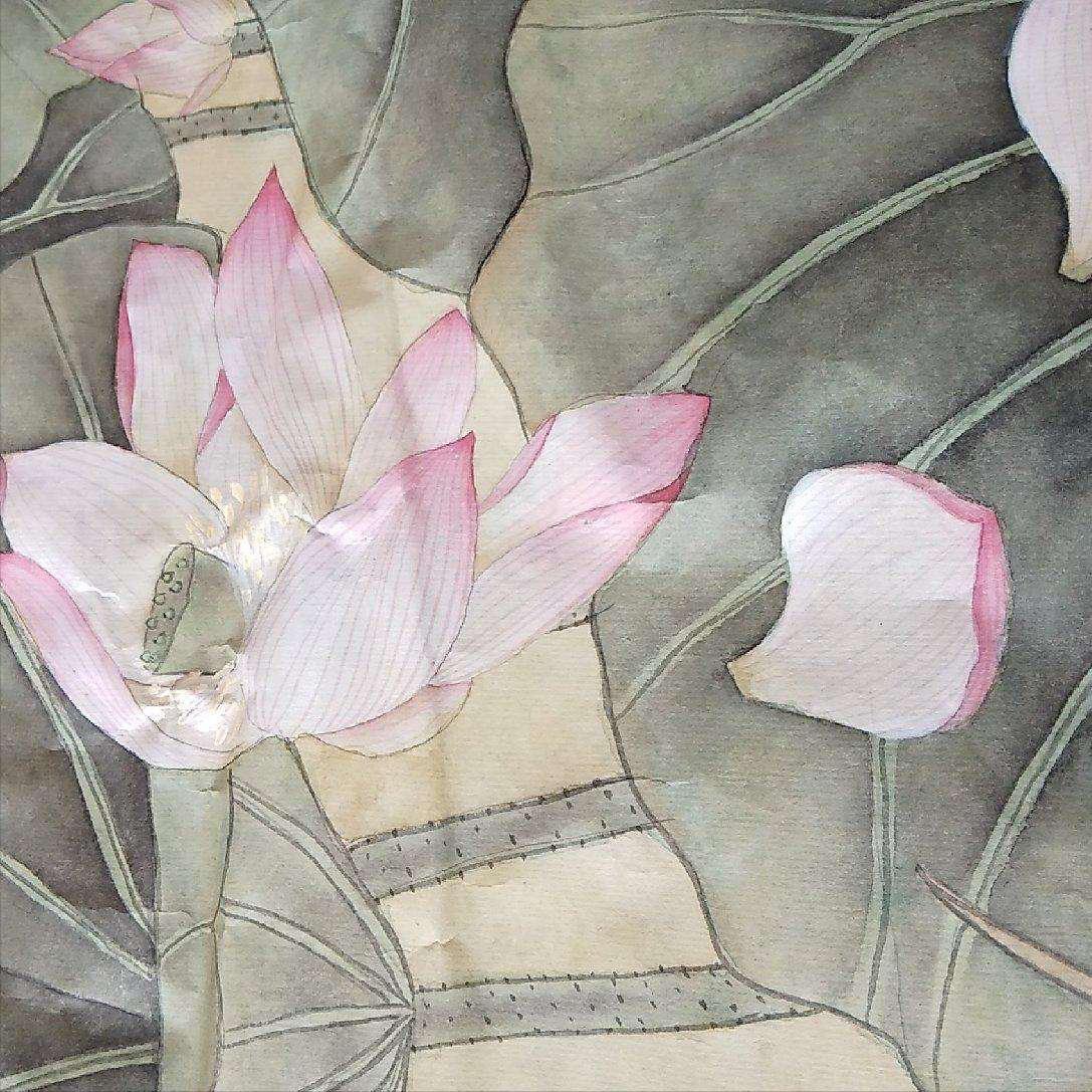 安妮宝贝的莲花讲的是什么,安妮宝贝莲花